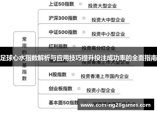 足球心水指数解析与应用技巧提升投注成功率的全面指南 足球心水指数解析与应用技巧提升投注成功率的全面指南